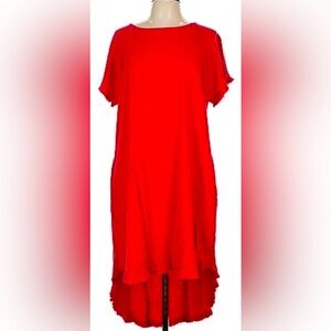 Rich orange high low dress.